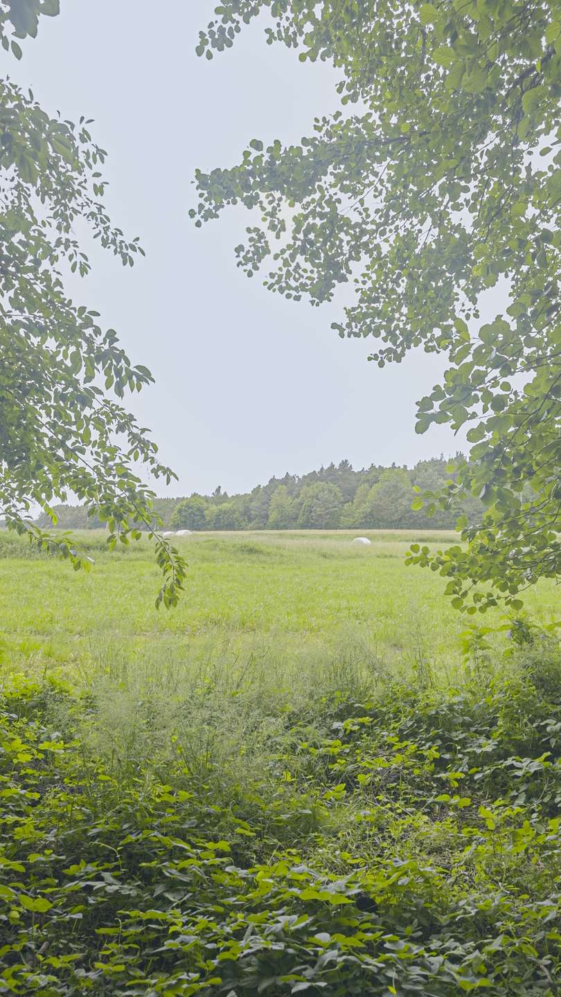 Ausblick-Grundstueck-SZ260