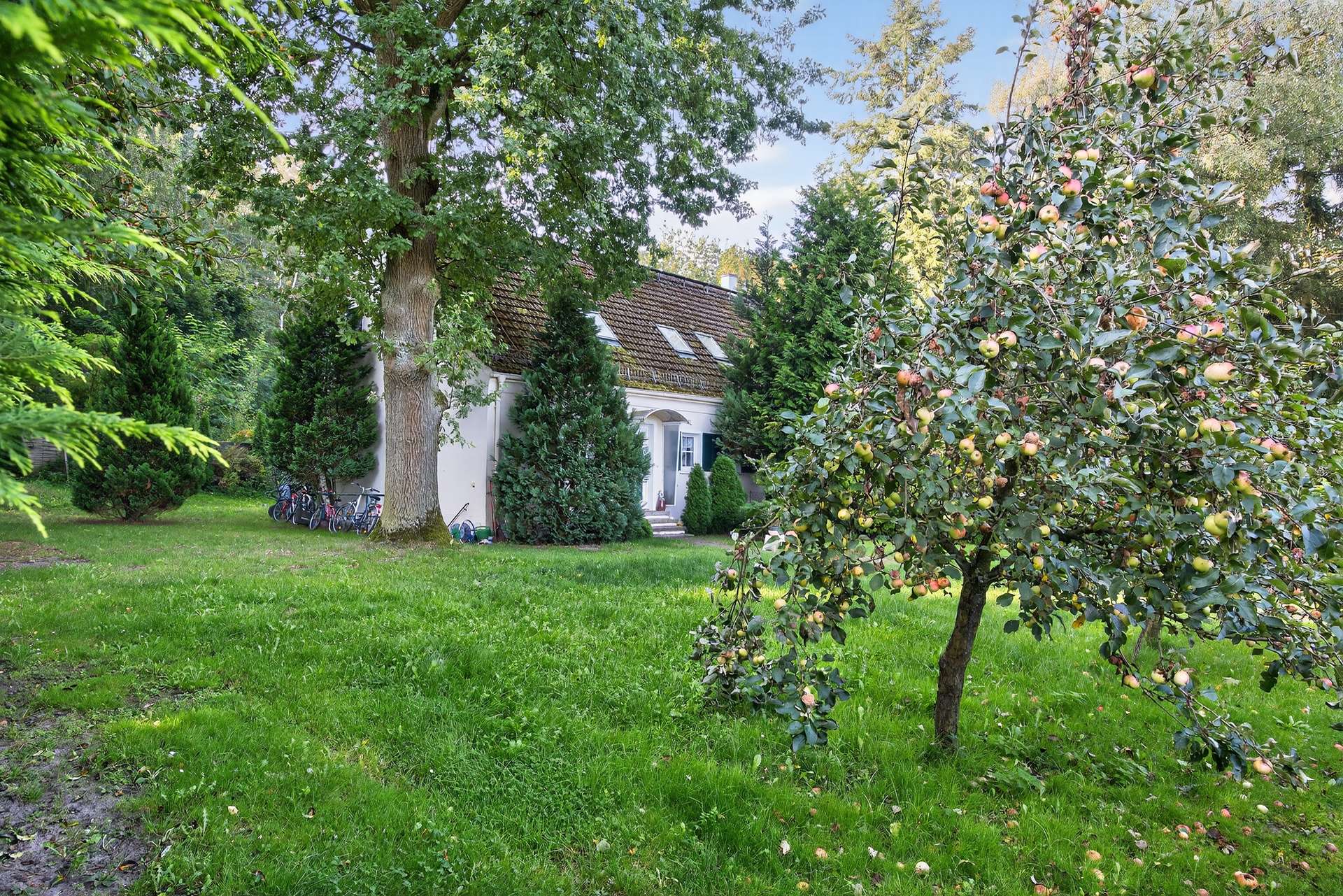 Cottage-mit-Apfelbaum-SZ285