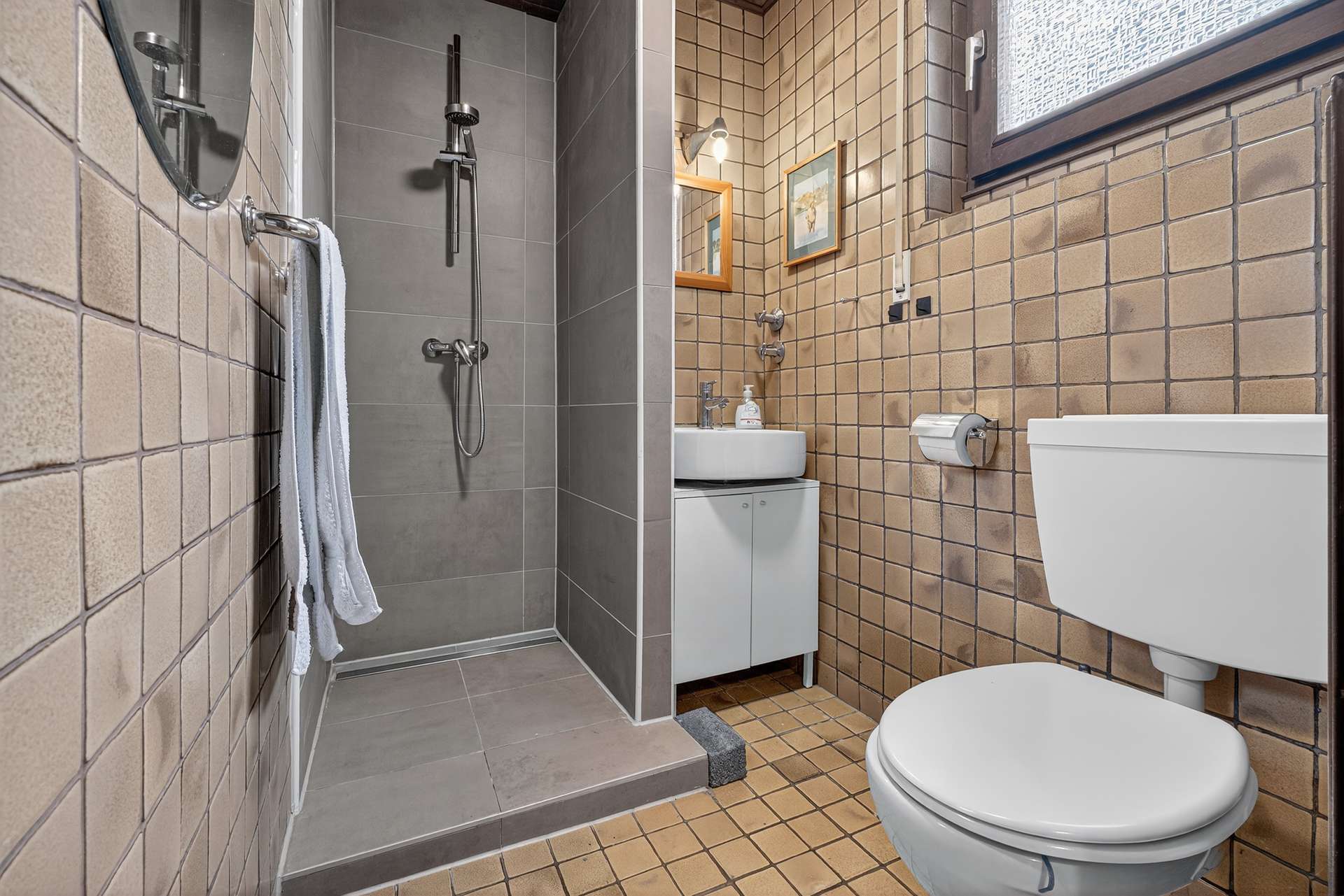 Gaeste-WC-EG-mit-Dusche-SZ273