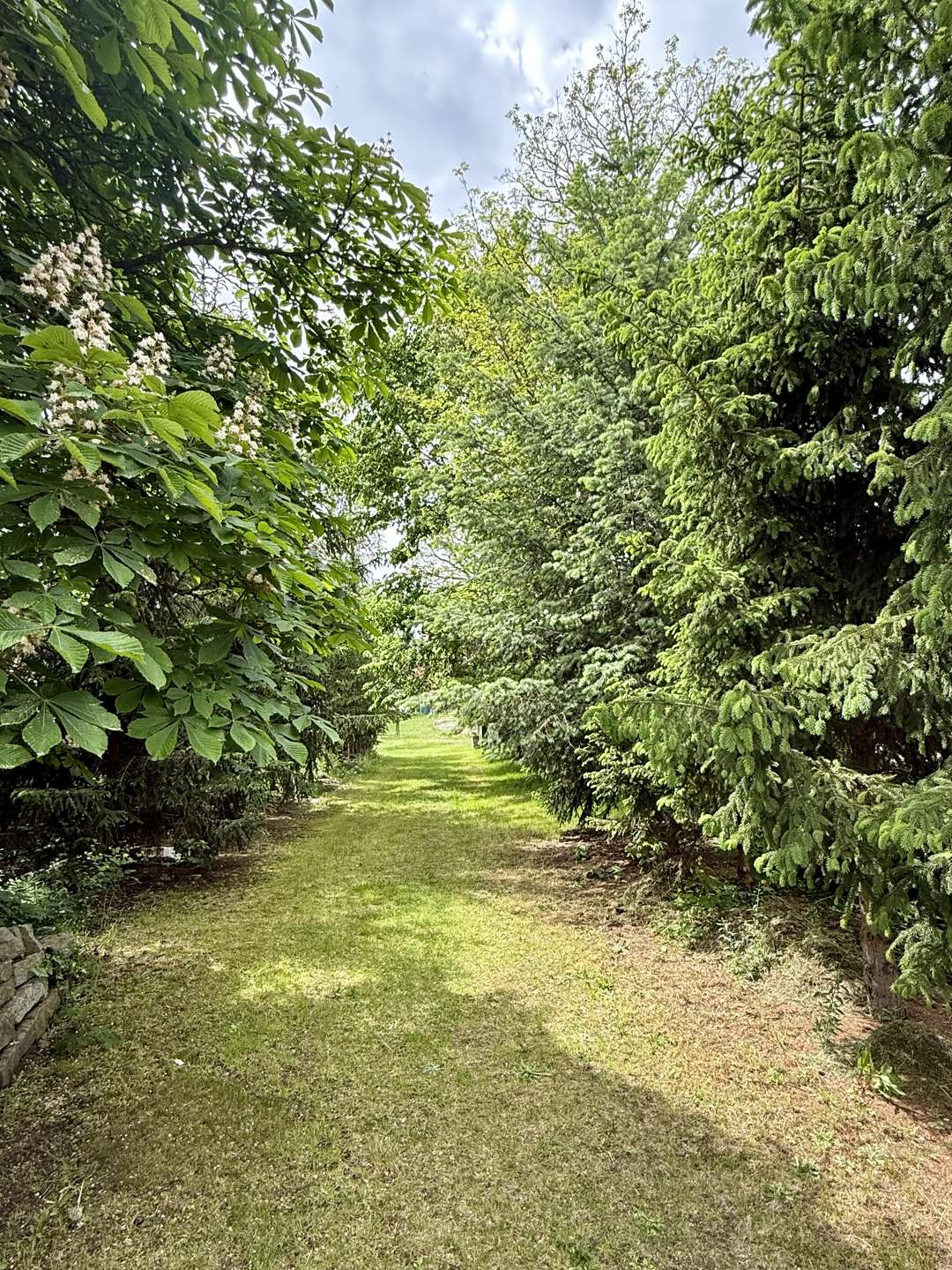 Gartenparzelle-SZ293
