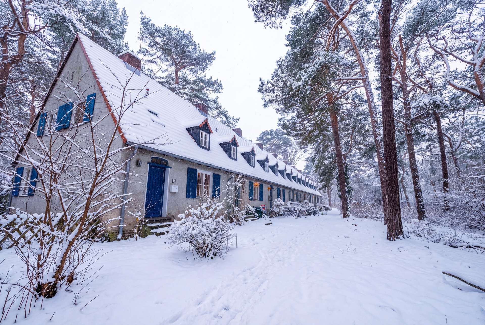 Winter-in-der-Waldsiedlung-SZ292